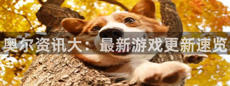 星欧娱乐测速：奥尔资讯大：最新游戏更新速览