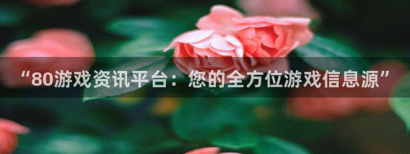 星欧娱乐网址注册：“80游戏资讯平台：您的全方位游戏信息源”