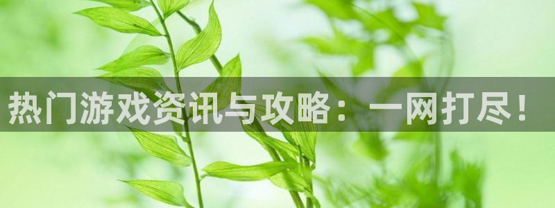 星欧娱乐官方平台：热门游戏资讯与攻略：一网打尽！