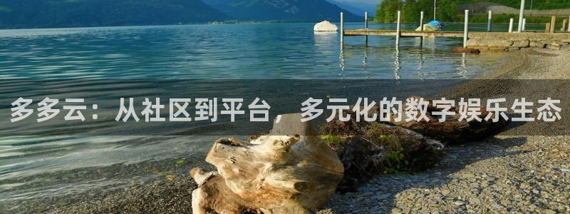 星欧娱乐官网登录：多多云：从社区到平台，多元化的数字娱乐生态