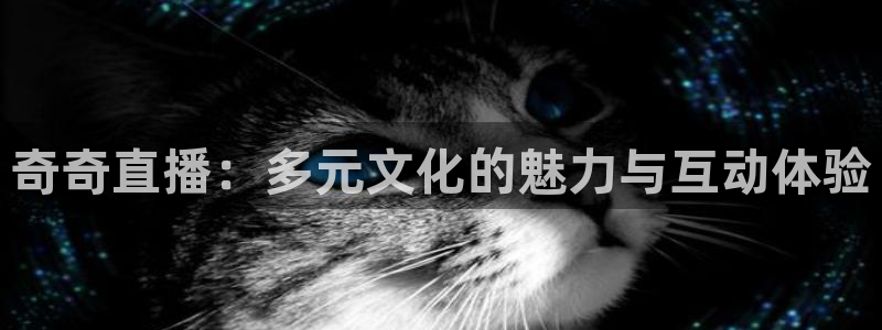 雨燕直播体育赛事：奇奇直播：多元文化的魅力与互动体验