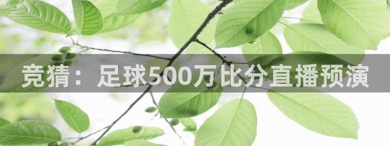 雨燕nba直播app：竞猜：足球500万比分直播预演