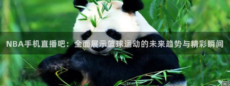 雨燕正在直播nba：NBA手机直播吧：全面展示篮球运动的未来趋势与精彩瞬间