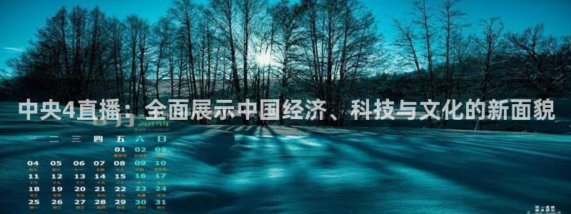 雨燕足球直播网址：中央4直播：全面展示中国经济、科技与文化的新面貌