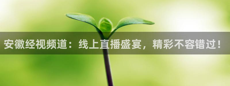雨燕360体育免费直播足球：安徽经视频道：线上直播盛宴，精彩不容错过！