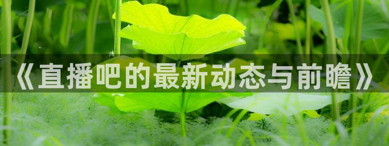 nba直播雨燕：《直播吧的最新动态与前瞻》
