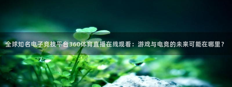雨燕直播网nba：全球知名电子竞技平台360体育直播在线观看：游戏与电竞的未来可能在哪里？