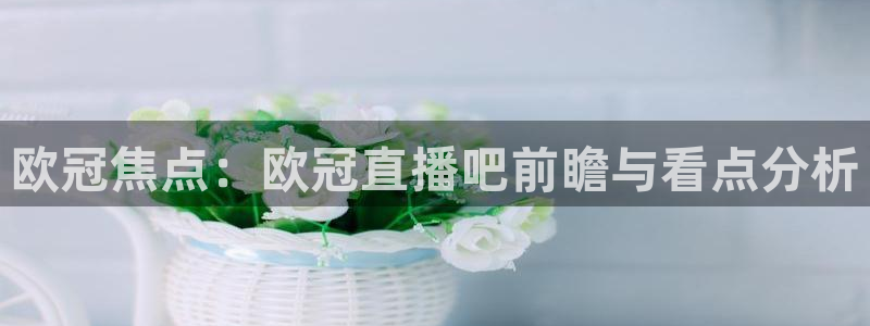雨燕直播在线观看nba：欧冠焦点：欧冠直播吧前瞻与看点分析