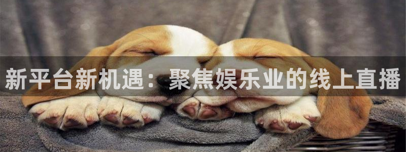 nba视频直播雨燕直播：新平台新机遇：聚焦娱乐业的线上直播