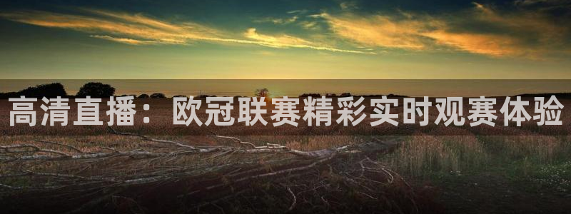 篮球雨燕直播：高清直播：欧冠联赛精彩实时观赛体验