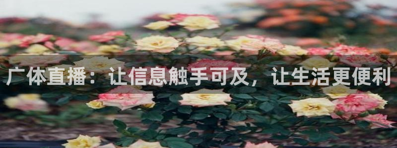雨燕360体育赛事直播：广体直播：让信息触手可及，让生活更便利