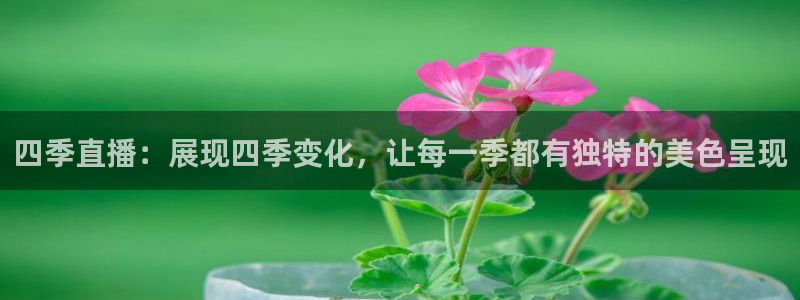 360直播网足球直播网雨燕：四季直播：展现四季变化，让每一季都有独特的美色呈现