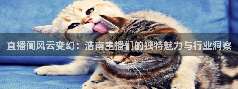 雨燕足球直播网址：直播间风云变幻：浩南主播们的独特魅力与行业洞察