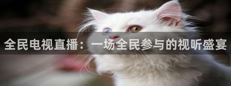雨燕直播体育免费直播在线观看：全民电视直播：一场全民参与的视听盛宴