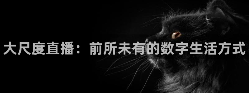 雨燕足球直播免费：大尺度直播：前所未有的数字生活方式